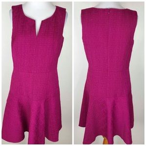 Ann Taylor Fushia Textured Dress